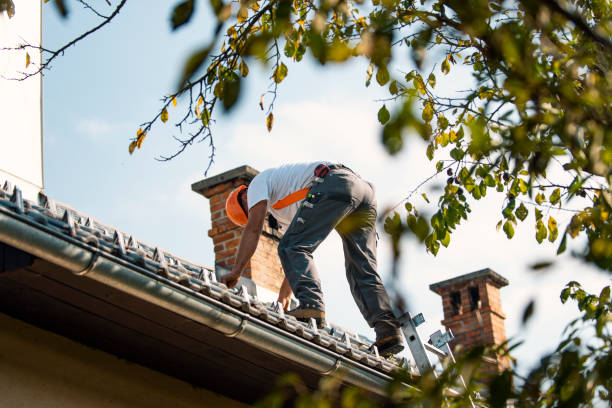 Best Metal Roofing Contractor  in Stewartville, MN