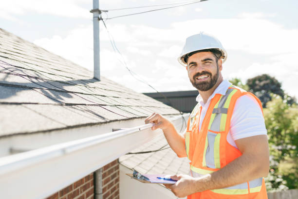 Roof Gutter Cleaning in Stewartville, MN