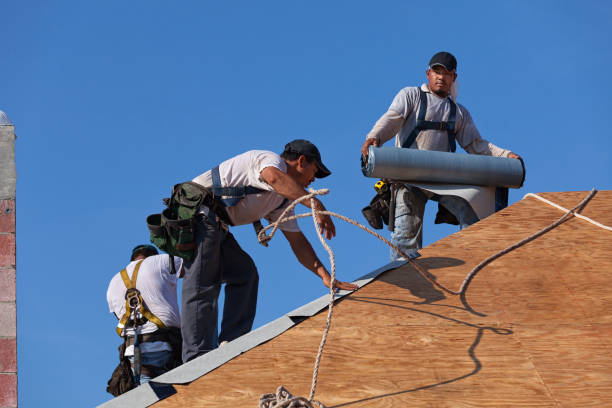 Best Local Roofing Companies  in Stewartville, MN