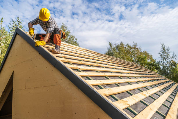 Best Flat Roof Repair Services  in Stewartville, MN